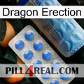 Dragon Erection 40